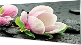Szklany Panel Kwiat Magnolii na Kamieniach