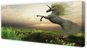 Obraz drukowany na płótnie Jednorożec na Polu