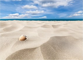 Obraz na szkle - Muszle na plaży (70x50 cm)