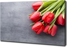 Foto obraz na płótnie Czerwone tulipany