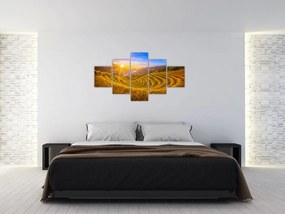 Obraz - Pole ryżowe w Wietnamie (125x70 cm)