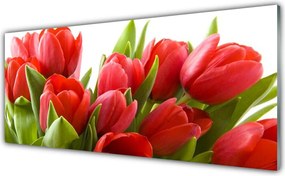 Szkło do Kuchni na Ścianę Wiosenna Świeżość Tulipanów