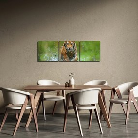 Obraz - Biegnący tygrys (z zegarem) (90x30 cm)
