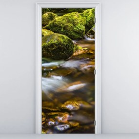 Fototapeta na drzwi - Strumień (95x205cm)