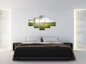 Obraz drzewa na polu (125x70 cm)