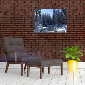 Obraz śnieżnego lasu (70x50 cm)