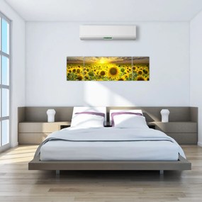 Obraz - Słoneczniki o zachodzie słońca (170x50 cm)