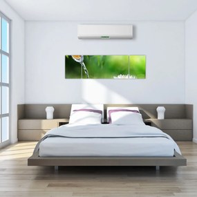 Obraz - Lotos (170x50 cm)