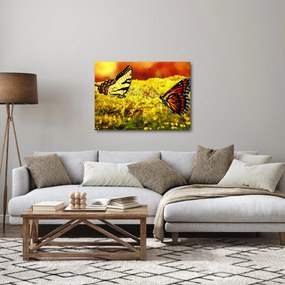 Obraz motyli (70x50 cm)