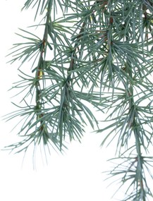 Gałązka Christmas Tree 30x2x60cm light green