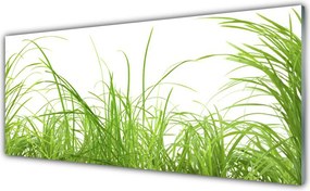 Panel Szklany do Kuchni Świeżość Letniej Trawy