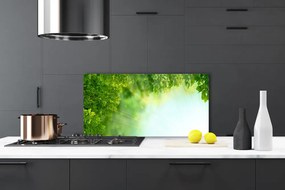 Panel Szklany Botaniczny Detal Liści