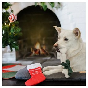 Zabawka dla psa Pończocha z niespodzianką – P.L.A.Y.