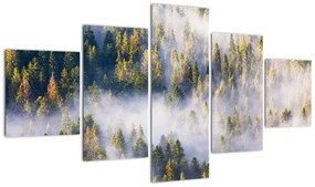 Obraz drzew we mgle (125x70 cm)
