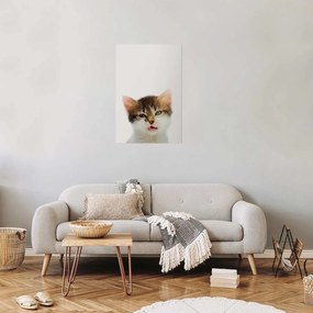 Plakat Zirytowany kot 21x30 cm bez ramy bez marginesu ARTGEIST B