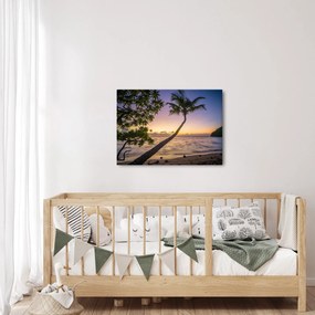 Obraz palmy na plaży (70x50 cm)