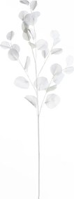 Gałązka Eukaliptusa 90cm white