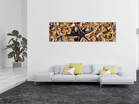Obraz rozgwiazdy (170x50 cm)