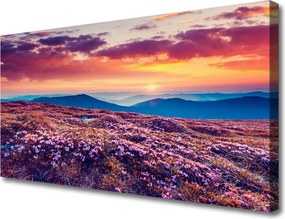Obraz na płótnie Kwiatowy Dywan u Stóp Gór