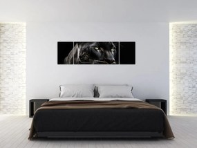 Obraz - Czarna Pantera (170x50 cm)