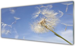 Panel Szklany do Kuchni Puszysty Dmuchawiec