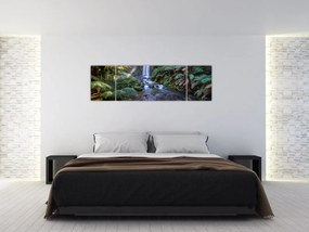 Obraz australijskiego lasu deszczowego (170x50 cm)