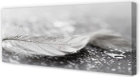 Obraz canvas na ścianę Delikatne Krople na Piórku