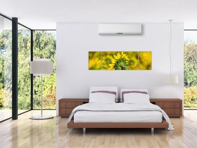 Obraz słonecznika (170x50 cm)