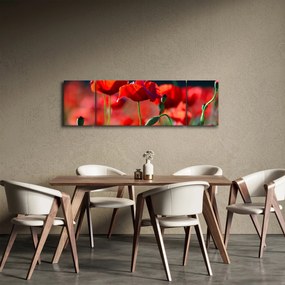 Obraz - maki (170x50 cm)