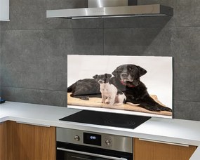 Szklany Panel Odpoczywająca Para Psów