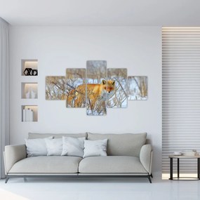 Obraz - Lis (125x70 cm)