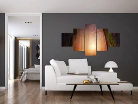 Obraz jesiennego lasu we mgle (125x70 cm)