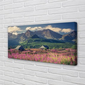 Obraz drukowany na płótnie Góry, Pola i Domki