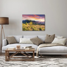 Obraz - Krajobraz leśny (70x50 cm)