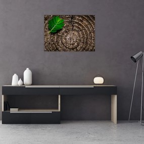 Obraz liścia na pniu drzewa (70x50 cm)