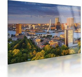 Obraz na szkle - Panorama Rotterdamu, Holandia (70x50 cm)
