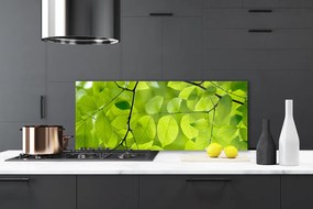 Panel Kuchenny Botaniczny Detal Liści