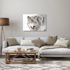 Obraz na szkle - Wilk w naturze (70x50 cm)
