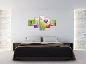 Obraz - Maki (125x70 cm)