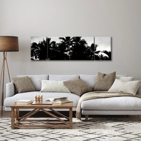 Obraz czarno - biały - palmy (170x50 cm)