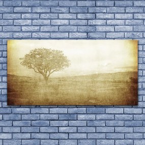 Fotoobraz na płótnie Korona Rozłożystego Drzewa