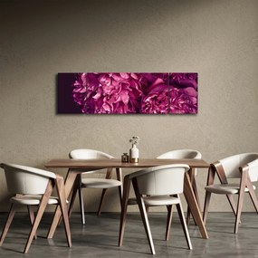 Obraz - Kwiaty piwonii (170x50 cm)