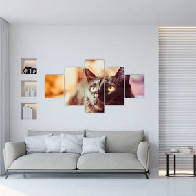 Obraz czarnego kota (125x70 cm)