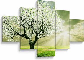 Obraz drzewa na łące (125x70 cm)