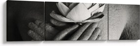 Obraz - Lotos w rękach Buddy (170x50 cm)