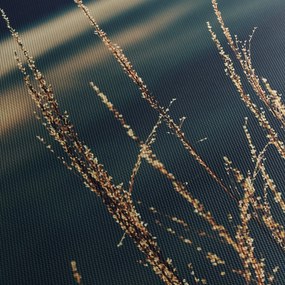 Obraz traw (125x70 cm)