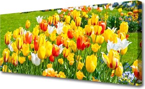 Obraz drukowany na płótnie Wiosenna Świeżość Tulipanów