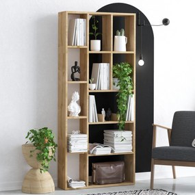 Biblioteczka Demios