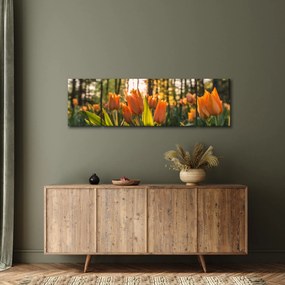 Obraz - pomarańczowe tulipany (170x50 cm)
