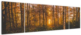 Obraz jesiennego lasu (170x50 cm)